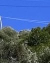 ΟΙΚΟΠΕΔΟ 974ΤΜ  1.700.000ΕΥΡΩ