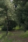 ΟΙΚΟΠΕΔΟ 800ΤΜ  3.200.000ΕΥΡΩ