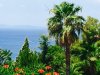 ΟΙΚΟΠΕΔΟ 4.500ΤΜ  600.000ΕΥΡΩ