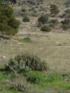 ΕΚΤΑΣΗ 38.000ΤΜ  1.500.000ΕΥΡΩ