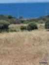 ΟΙΚΟΠΕΔΟ 1.100ΤΜ  500.000ΕΥΡΩ
