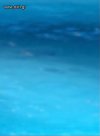 ΜΟΝΟΚΑΤΟΙΚΙΑ 520ΤΜ  7.500ΕΥΡΩ