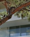 ΜΟΝΟΚΑΤΟΙΚΙΑ 520ΤΜ  7.500ΕΥΡΩ