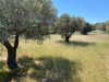 ΜΟΝΟΚΑΤΟΙΚΙΑ 500ΤΜ  1,000.000ΕΥΡΩ