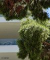 ΜΟΝΟΚΑΤΟΙΚΙΑ 800ΤΜ  5.000.000ΕΥΡΩ