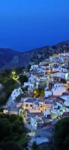 ΟΙΚΟΠΕΔΟ 8.000ΤΜ  160.000ΕΥΡΩ