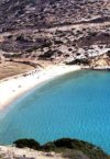 ΟΙΚΟΠΕΔΟ 4.000ΤΜ  350.000ΕΥΡΩ