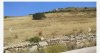 ΟΙΚΟΠΕΔΟ 11.000ΤΜ  460.000ΕΥΡΩ