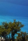 ΟΙΚΟΠΕΔΟ 60.000ΤΜ  12.000.000ΕΥΡΩ