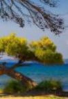 ΟΙΚΟΠΕΔΟ 1.000ΤΜ  100.000ΕΥΡΩ