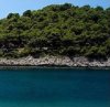 ΟΙΚΟΠΕΔΟ 264.000ΤΜ  8.000.000ΕΥΡΩ