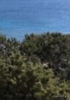 ΜΟΝΟΚΑΤΟΙΚΙΑ 300ΤΜ  350.000ΕΥΡΩ 