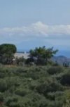ΟΙΚΟΠΕΔΟ 5.500ΤΜ  150.000ΕΥΡΩ