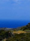 ΟΙΚΟΠΕΔΟ 12.000ΤΜ  200.000ΕΥΡΩ