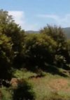 ΟΙΚΟΠΕΔΟ 12.000ΤΜ  200.000ΕΥΡΩ