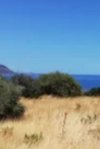 ΟΙΚΟΠΕΔΟ 1.000ΤΜ  400.000ΕΥΡΩ