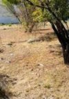 ΟΙΚΟΠΕΔΟ 1.520ΤΜ  4.000.000ΕΥΡΩ