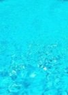ΜΟΝΟΚΑΤΟΙΚΙΑ 270ΤΜ  2.000ΕΥΡΩ