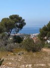 ΟΙΚΟΠΕΔΟ 728ΤΜ  850.000ΕΥΡΩ