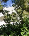 ΜΟΝΟΚΑΤΟΙΚΙΑ 200ΤΜ  650.000ΕΥΡΩ