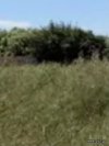ΟΙΚΟΠΕΔΟ 4.100ΤΜ  2.000.000ΕΥΡΩ