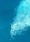 ΟΡΟΦΔΙΑΜΕΡΙΣΜΑ 168ΤΜ  1.400.000ΕΥΡΩ