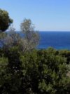 ΟΙΚΟΠΕΔΟ 412ΤΜ  300.000ΕΥΡΩ