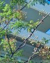 ΜΟΝΟΚΑΤΟΙΚΙΑ 300ΤΜ  4.000.000ΕΥΡΩ