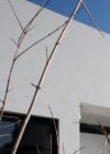 ΜΟΝΟΚΑΤΟΙΚΙΑ 200ΤΜ  950.000ΕΥΡΩ