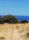 ΟΙΚΟΠΕΔΟ 35.000ΤΜ  1.000.000ΕΥΡΩ
