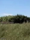 ΟΙΚΟΠΕΔΟ 64.000ΤΜ  2.000.000ΕΥΡΩ