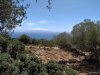 ΟΙΚΟΠΕΔΟ 5.800ΤΜ  350.000ΕΥΡΩ