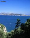ΟΙΚΟΠΕΔΟ 16.000ΤΜ  300.000ΕΥΡΩ