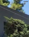 ΜΟΝΟΚΑΤΟΙΚΙΑ 320ΤΜ  4.000ΕΥΡΩ