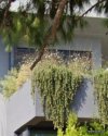 ΜΕΖΟΝΕΤΑ 277ΤΜ  1.000.000ΕΥΡΩ