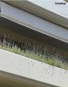 ΟΡΟΦΔΙΑΜΕΡΙΣΜΑ 170ΤΜ  500.000ΕΥΡΩ