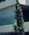 ΜΟΝΟΚΑΤΟΙΚΙΑ 350ΤΜ  7.000ΕΥΡΩ