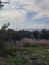 ΟΙΚΟΠΕΔΟ 4.500ΤΜ  100.000ΕΥΡΩ