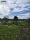 ΟΙΚΟΠΕΔΟ 4.500ΤΜ  100.000ΕΥΡΩ