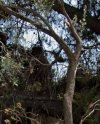 ΟΙΚΟΠΕΔΟ 507ΤΜ  1.200.000ΕΥΡΩ