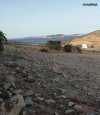 ΟΙΚΟΠΕΔΟ 4.600ΤΜ  420.000ΕΥΡΩ