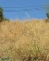 ΟΙΚΟΠΕΔΟ 472ΤΜ  800.000ΕΥΡΩ