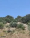 ΟΙΚΟΠΕΔΟ 300.000ΤΜ  1.200.000ΕΥΡΩ