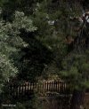 ΟΙΚΟΠΕΔΟ 1.010ΤΜ  2.500.000ΕΥΡΩ