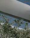 ΜΟΝΟΚΑΤΟΙΚΙΑ 500ΤΜ  10.000ΕΥΡΩ  