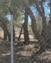 ΟΙΚΟΠΕΔΟ 922ΤΜ  3.700.000ΕΥΡΩ