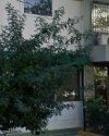 ΚΑΤΑΣΤΗΜΑ 900ΤΜ  750.000ΕΥΡΩ