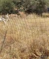 ΟΙΚΟΠΕΔΟ 647ΤΜ  900.000ΕΥΡΩ