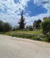 ΟΙΚΟΠΕΔΟ 211ΤΜ  70.000ΕΥΡΩ