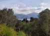 ΟΙΚΟΠΕΔΟ 11.500ΤΜ  600ΕΥΡΩ